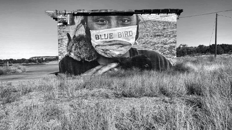 Blue Bird: Navajo Nation, Arizona