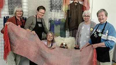 Sheep to Shawl Group