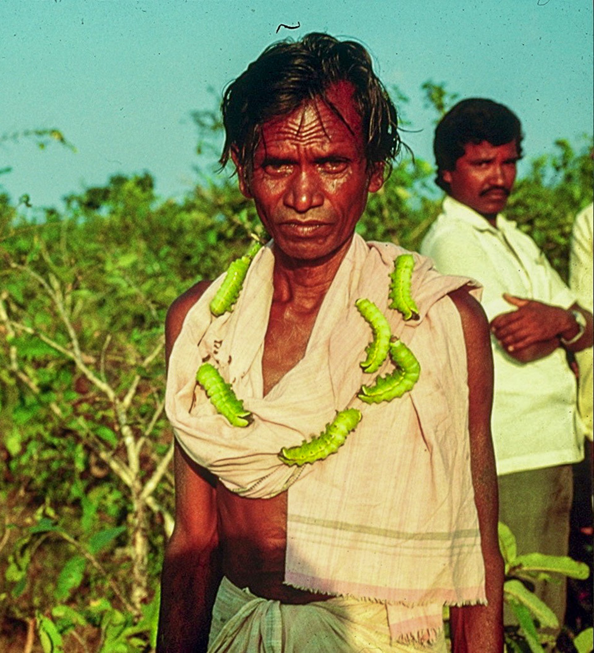 farmer wearing tussah caterpillars