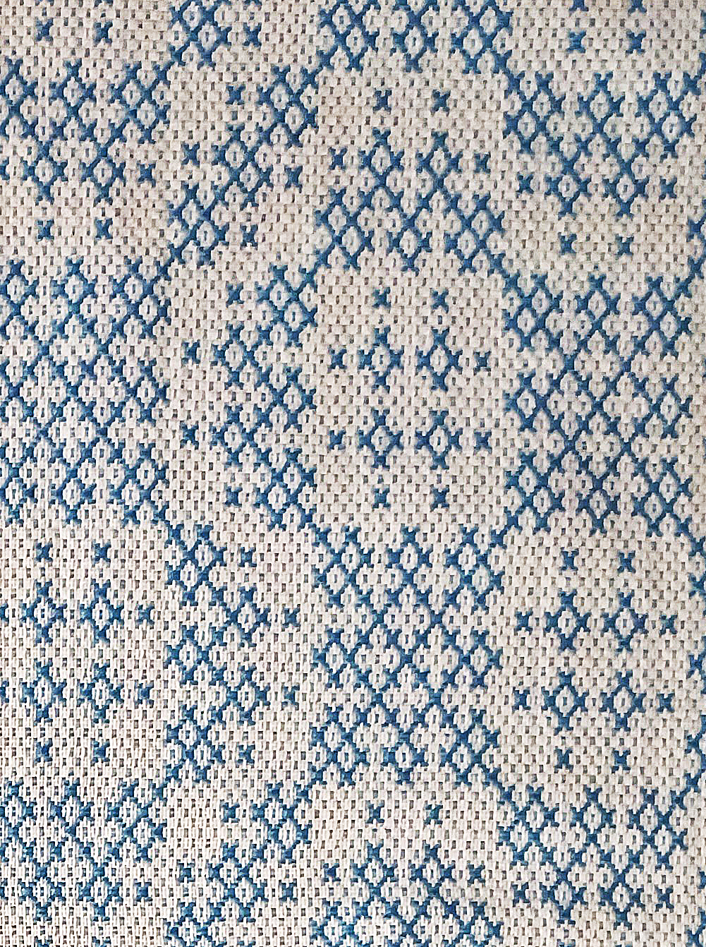 October 2023: Chintz as a Profile Draft in Summer and Winter