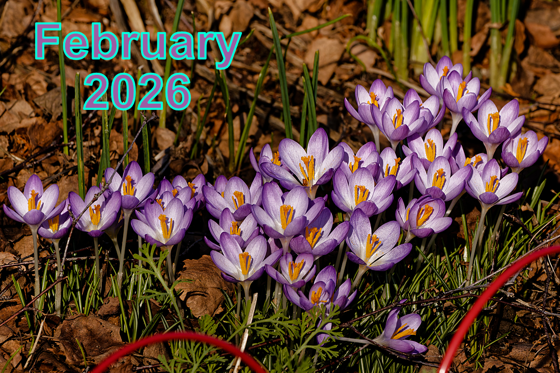 February 2026 - Meeting Recordings