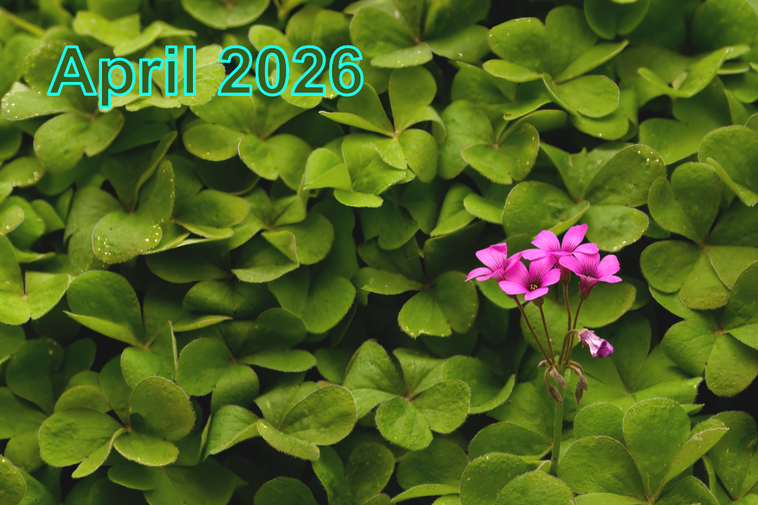 April 2026 - Meeting Recordings