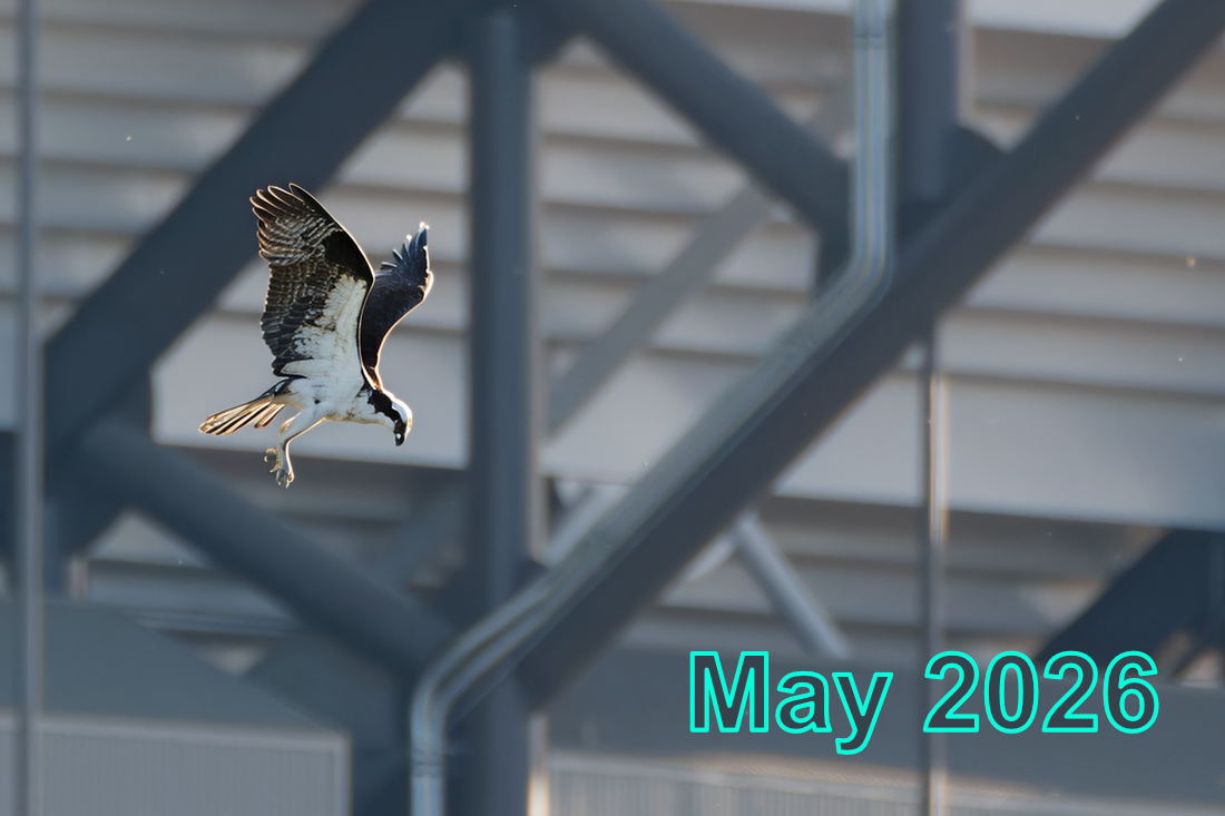 May 2026 - Meeting Recordings