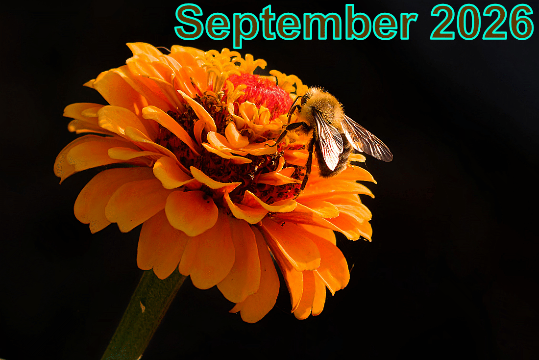 September 2026 - Meeting Recordings