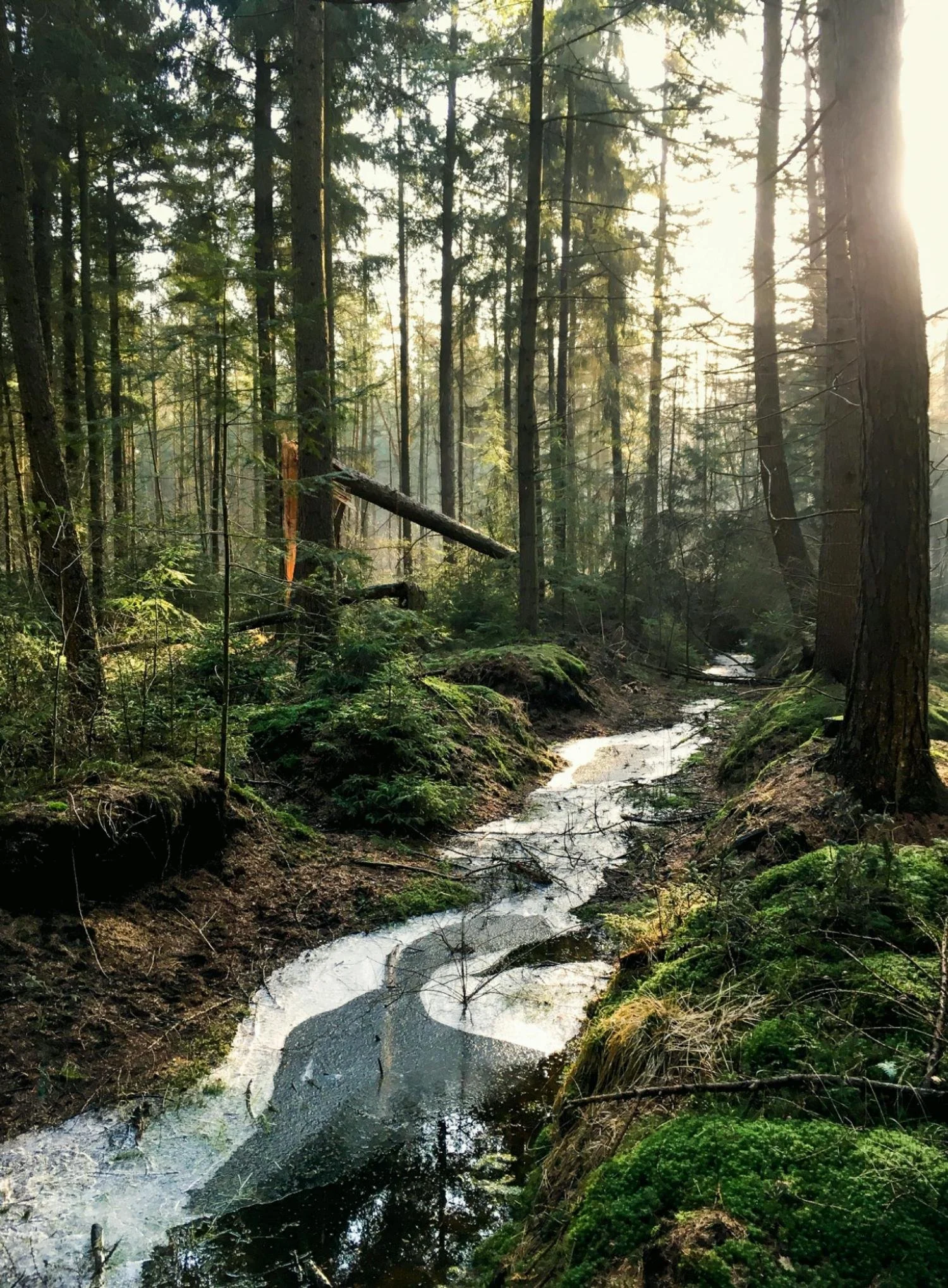 Confirmation of the five-year agreement between LVMH and UNESCO