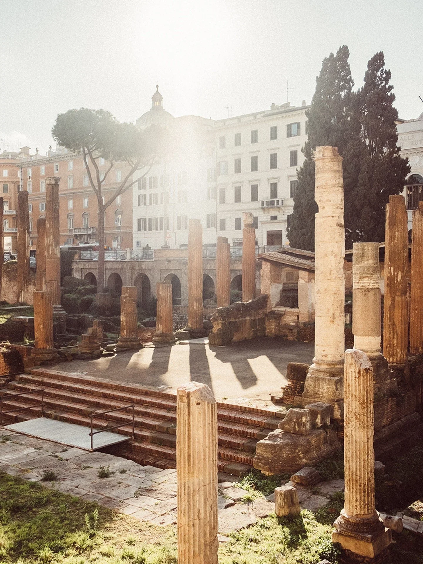 Bvlgari restores sacred area of Largo Argentina 2-3RD BC in Rome