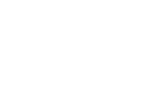 Birdies Sports Bar &amp; Grill