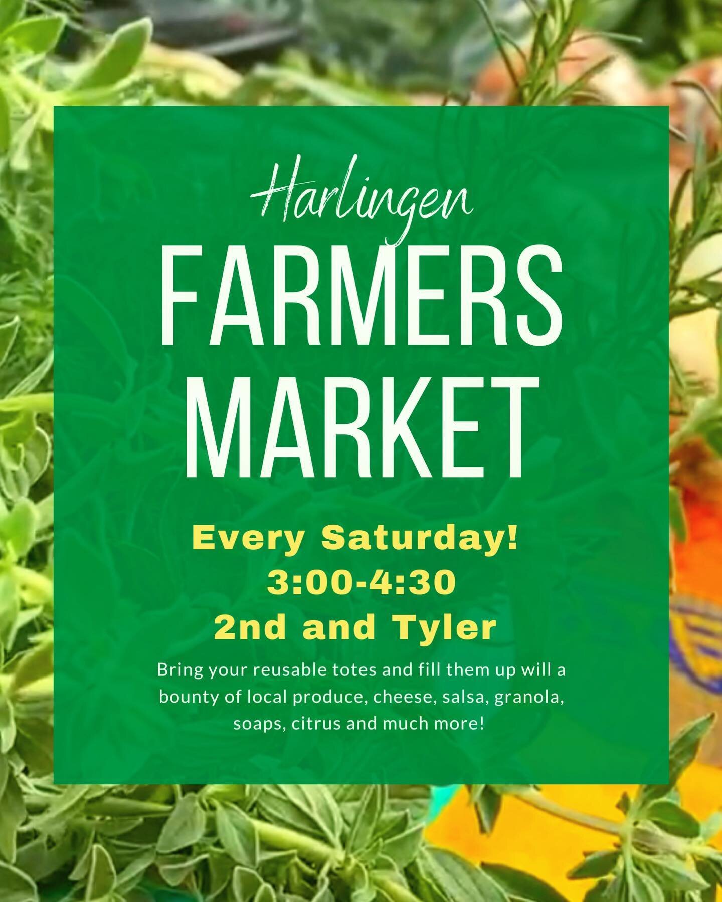 Come support local farmers and friends at The Harlingen Farmers Market! There is always something new to enjoy every Saturday from 3-4:30.
2nd and Tyler

Saturday
Live Music by Sandra Mink