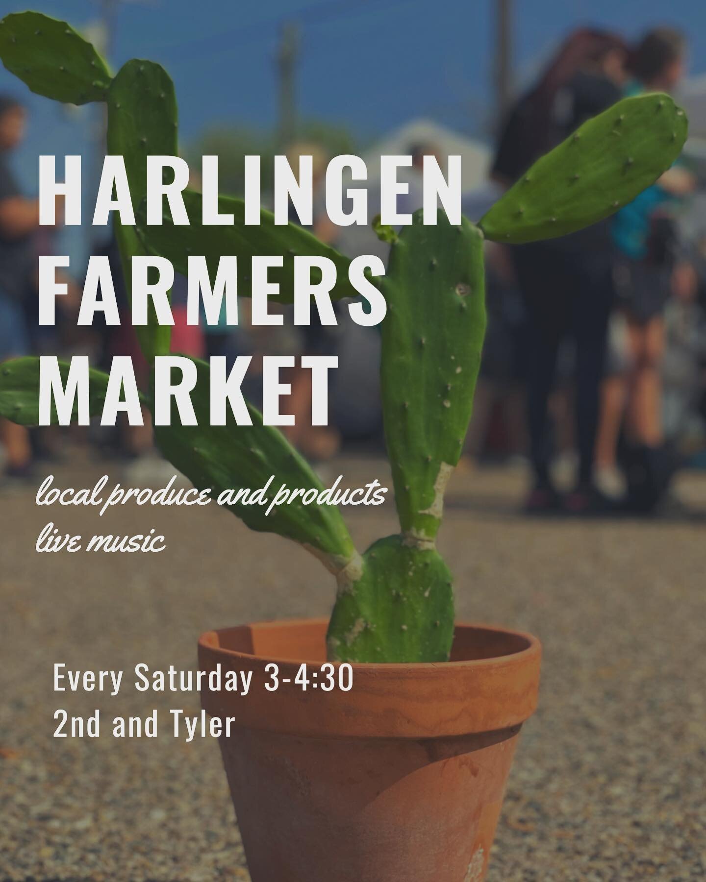 This Saturday! As always the Harlingen Farmers Market will have the best the valley has to offer from your local farmers and makers. 

Baked goods, native plants, natural soaps, local produce, strawberry lemonade from @salinasfamilyfarm,  vegan treat