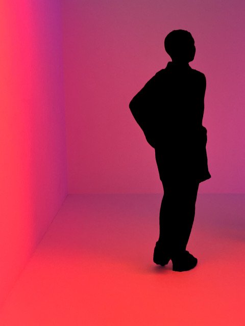 Squarespace_silhouette_pink-7172.jpeg