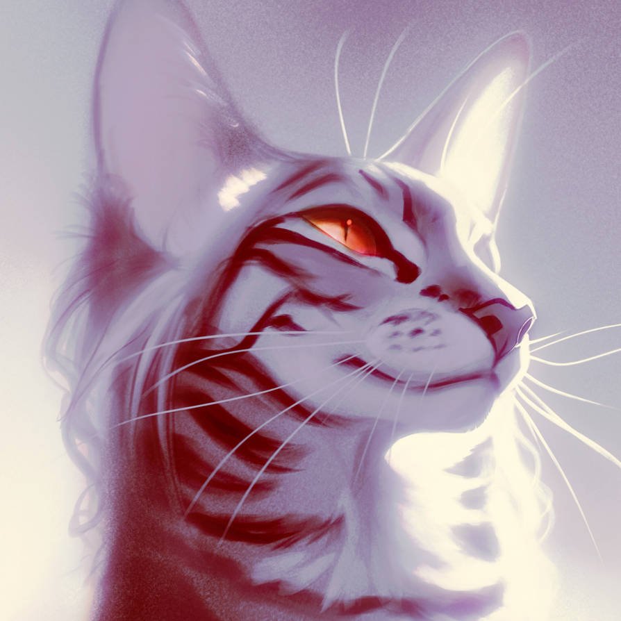 rosefrost_by_catafyra_dixk99f-pre.jpg