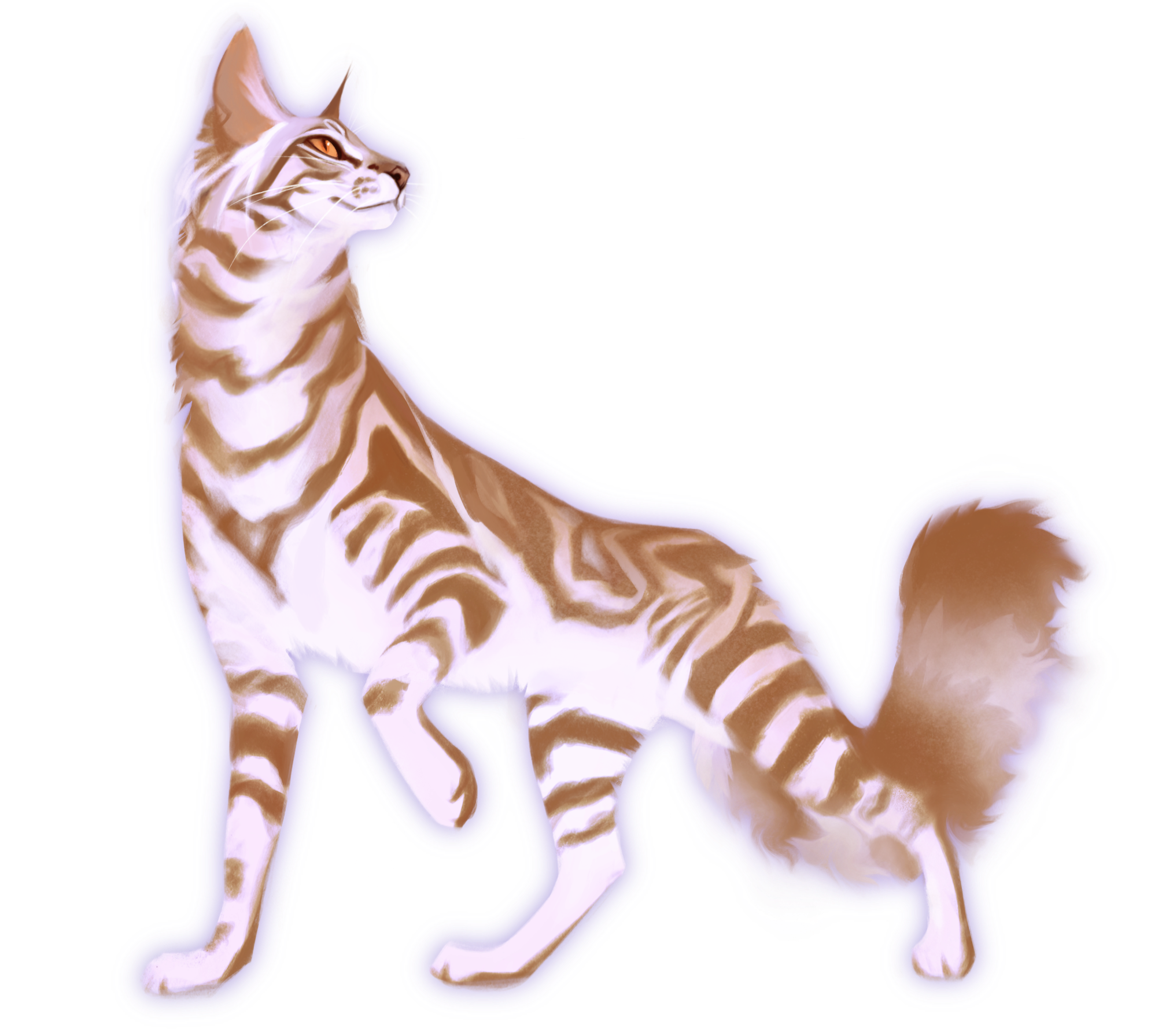 86749501_zRO9z3W2sDp3rHw.png