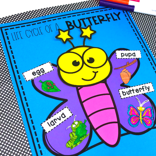 Butterfly Lifecycle Craft