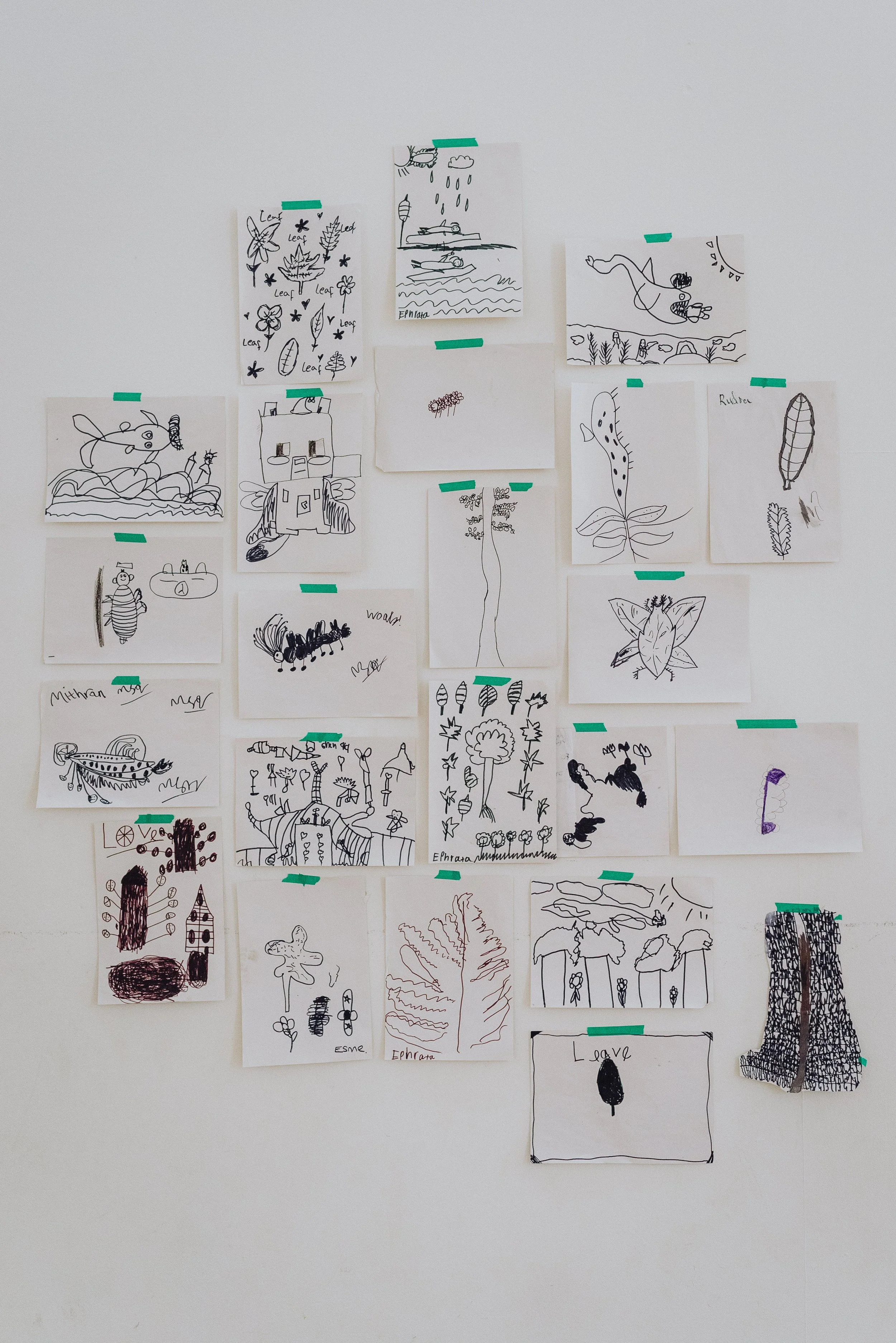 murmuration_eva_jack_017.jpg