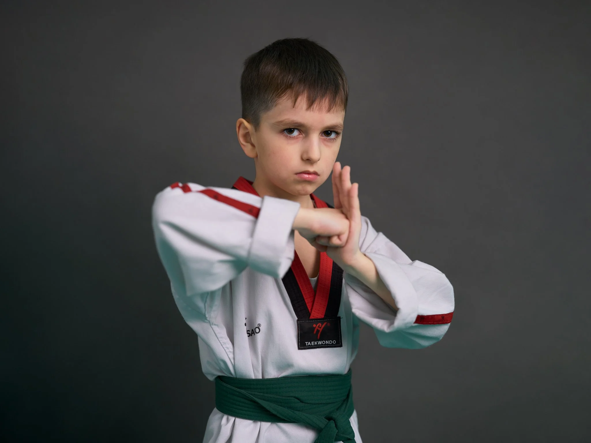 Brett-Garamella_Taekwondo_Five-Directions-of-the-World_Pyat-Storon-Sveta_Muhammad.jpg