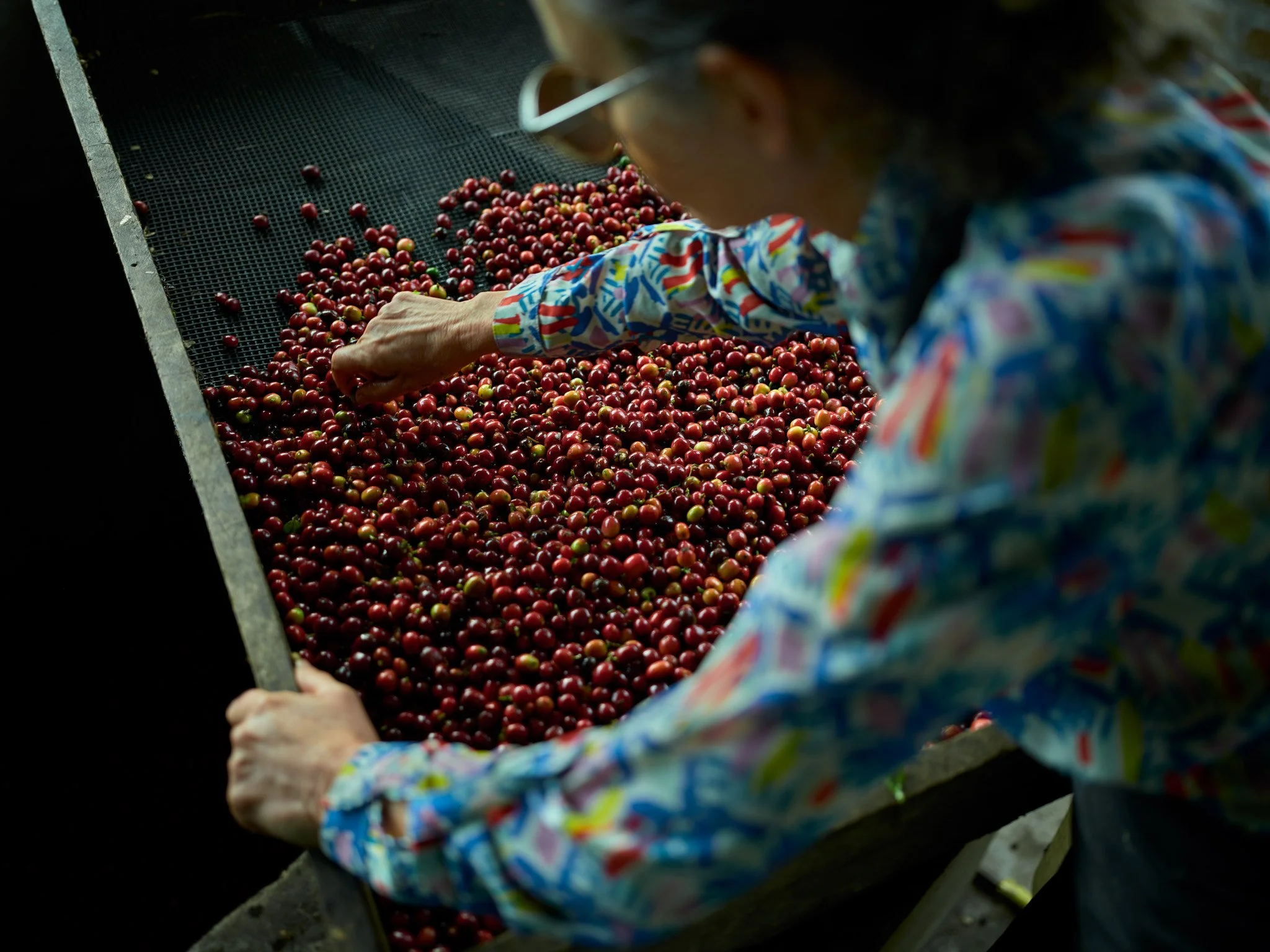 Dona-Carmen-Elena_Mount-Jazmin_Colombia-Coffee-Farmer.jpg