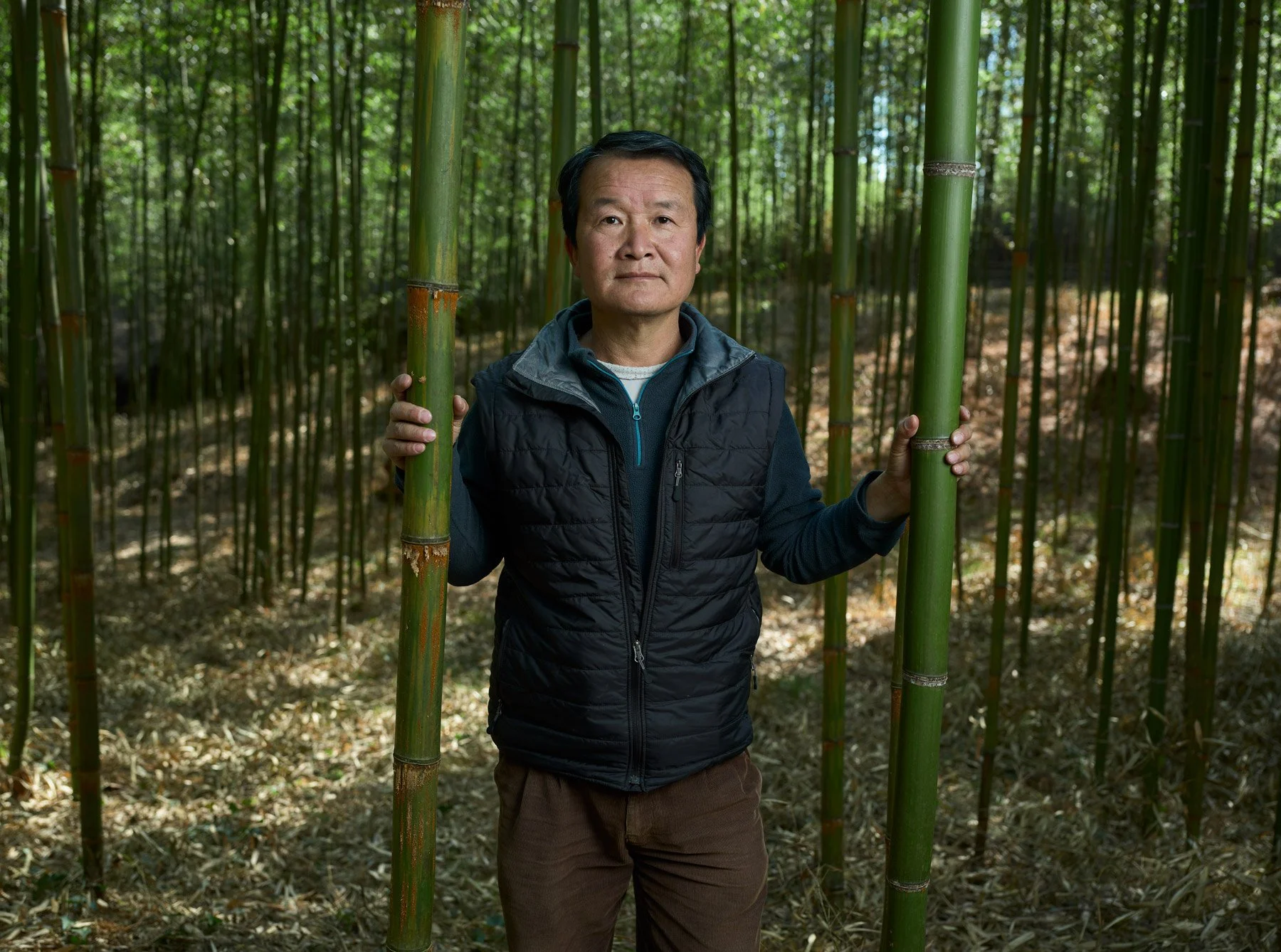 Koj-Mama_Bamboo-forest.jpg