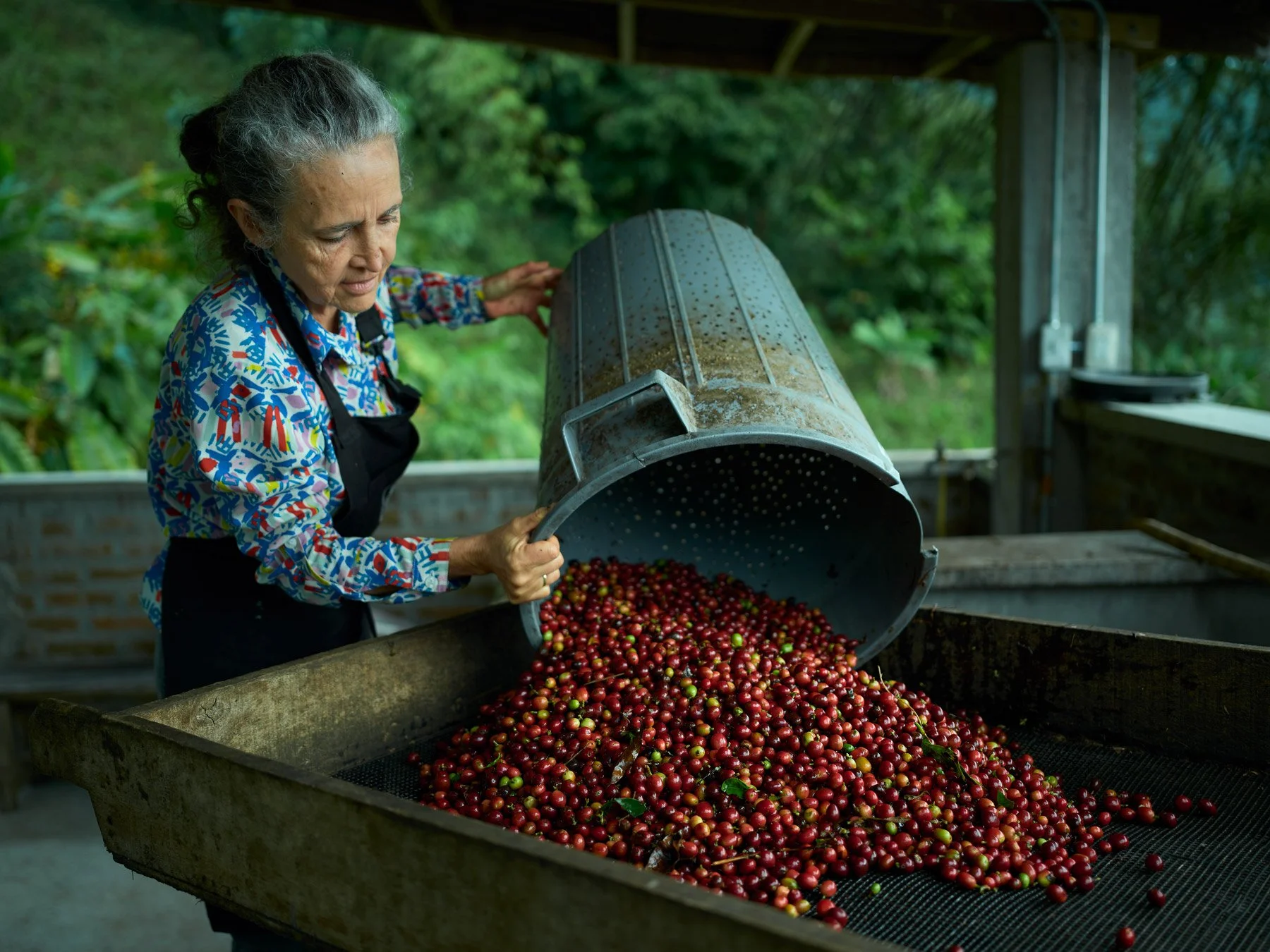 Dona-Carmen-Elena_Colombia-Coffee-Farmer_Pereira-Colombia.jpg