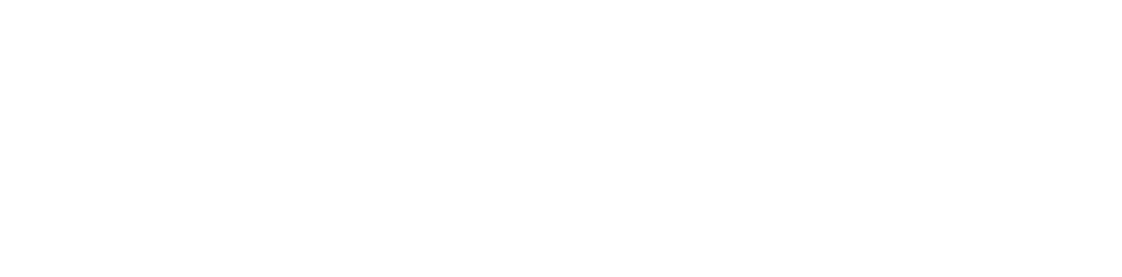 bloomreach_logo_white.png