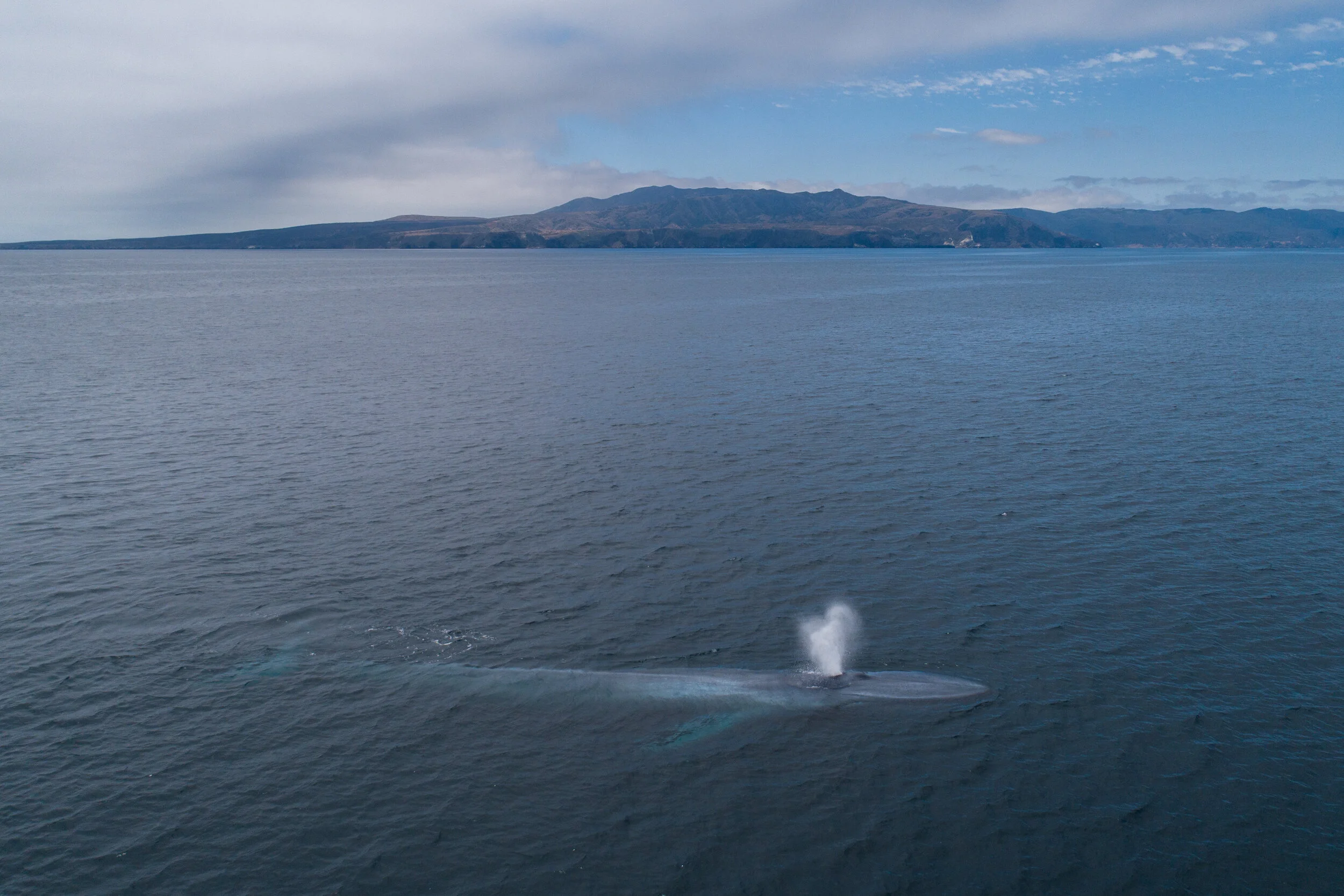DJI_0190.jpg