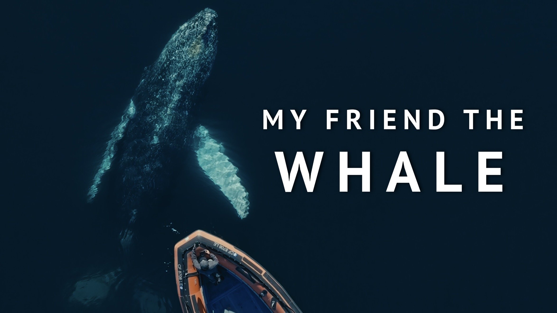 My Friend the Whale