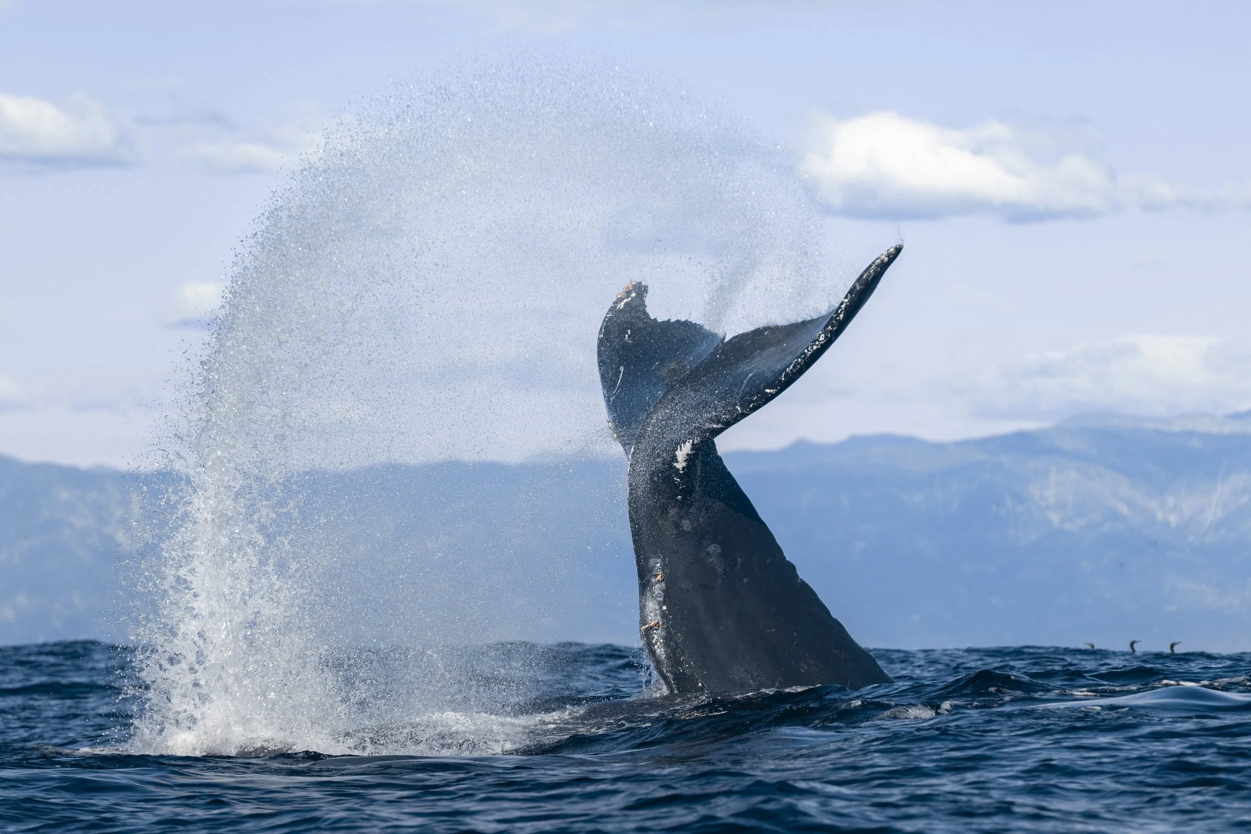 _P7A6428 3.40.26 PM.jpg