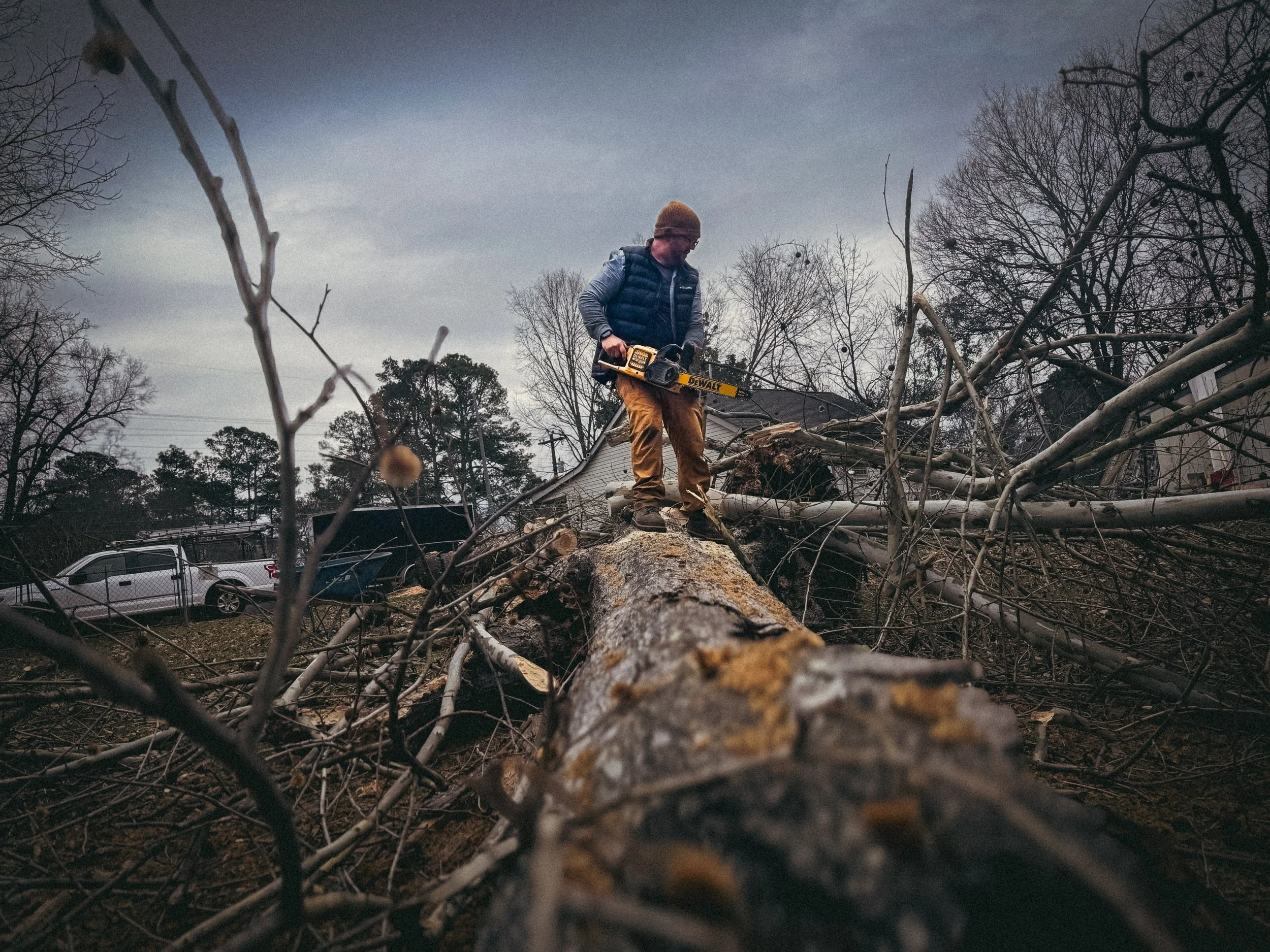 Handyman in Athens, GA delimbing a fallen tree after removal, standing on the trunk while using a DeWalt battery-powered chainsaw for residential tree cleanup.