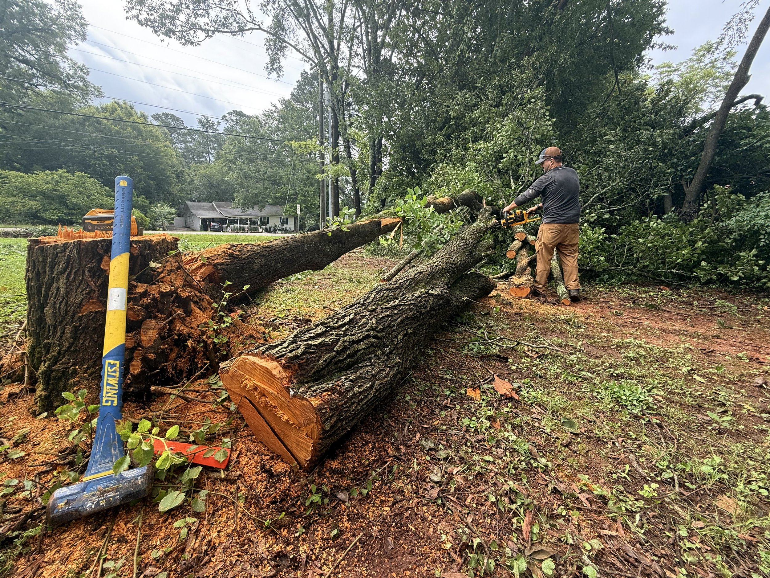 Chainsaw cutting up large fallen tree limb