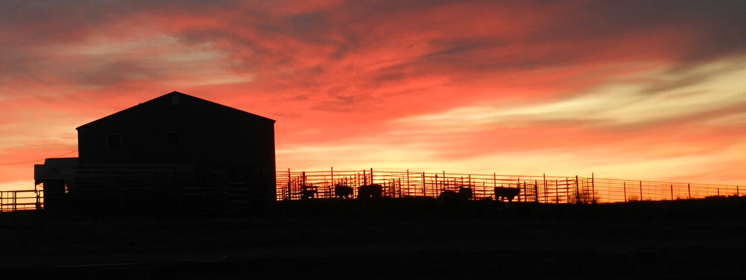 For Sale — Nemaha Valley Cattle Co.