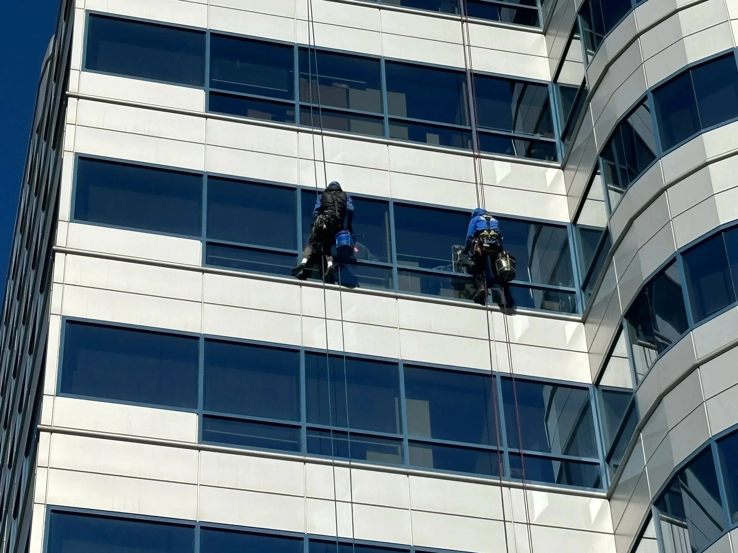 How often should I get my windows cleaned?