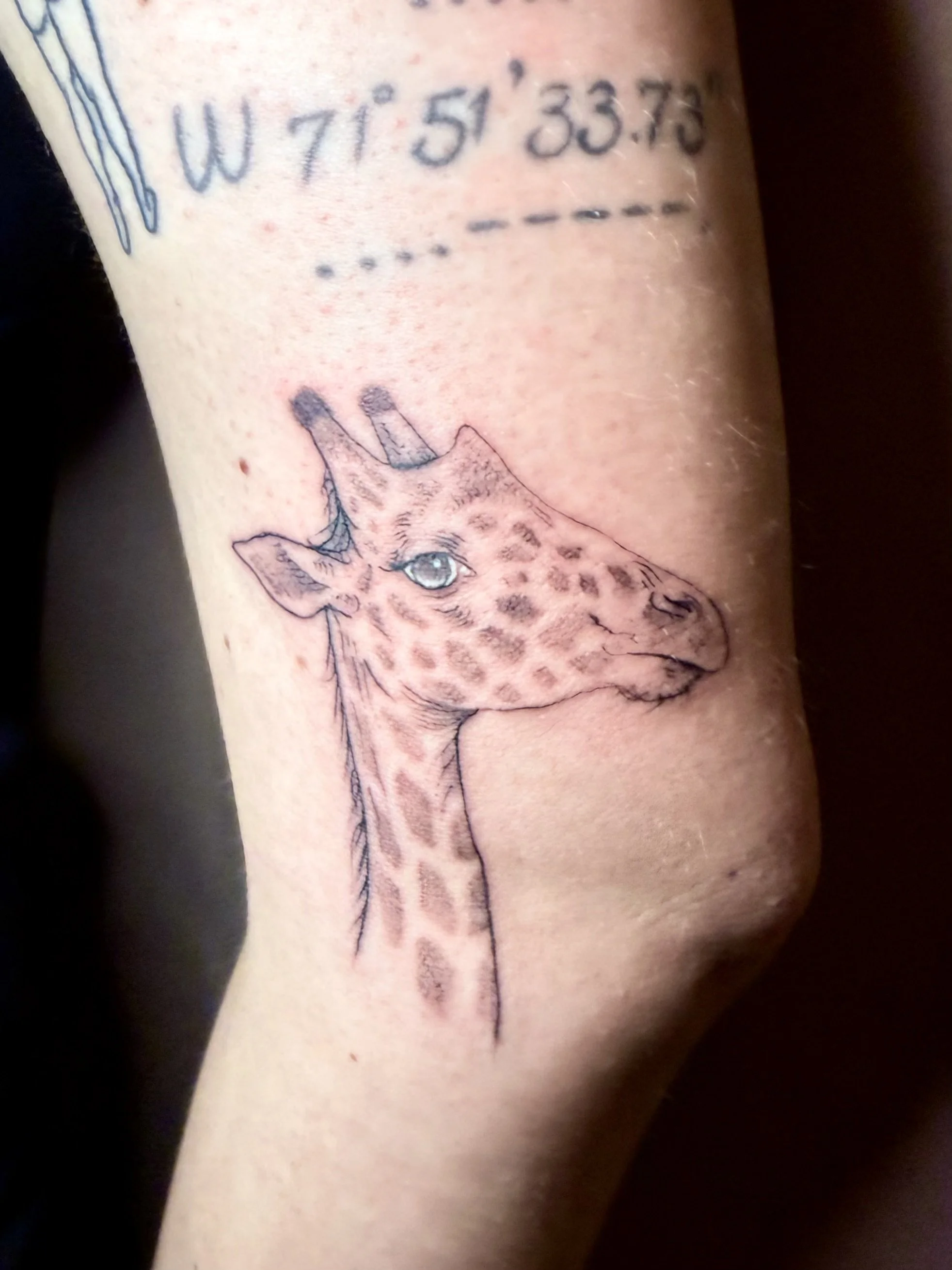 Tattoo of a giraffe's head with detailed spots and facial features on a person's arm.
