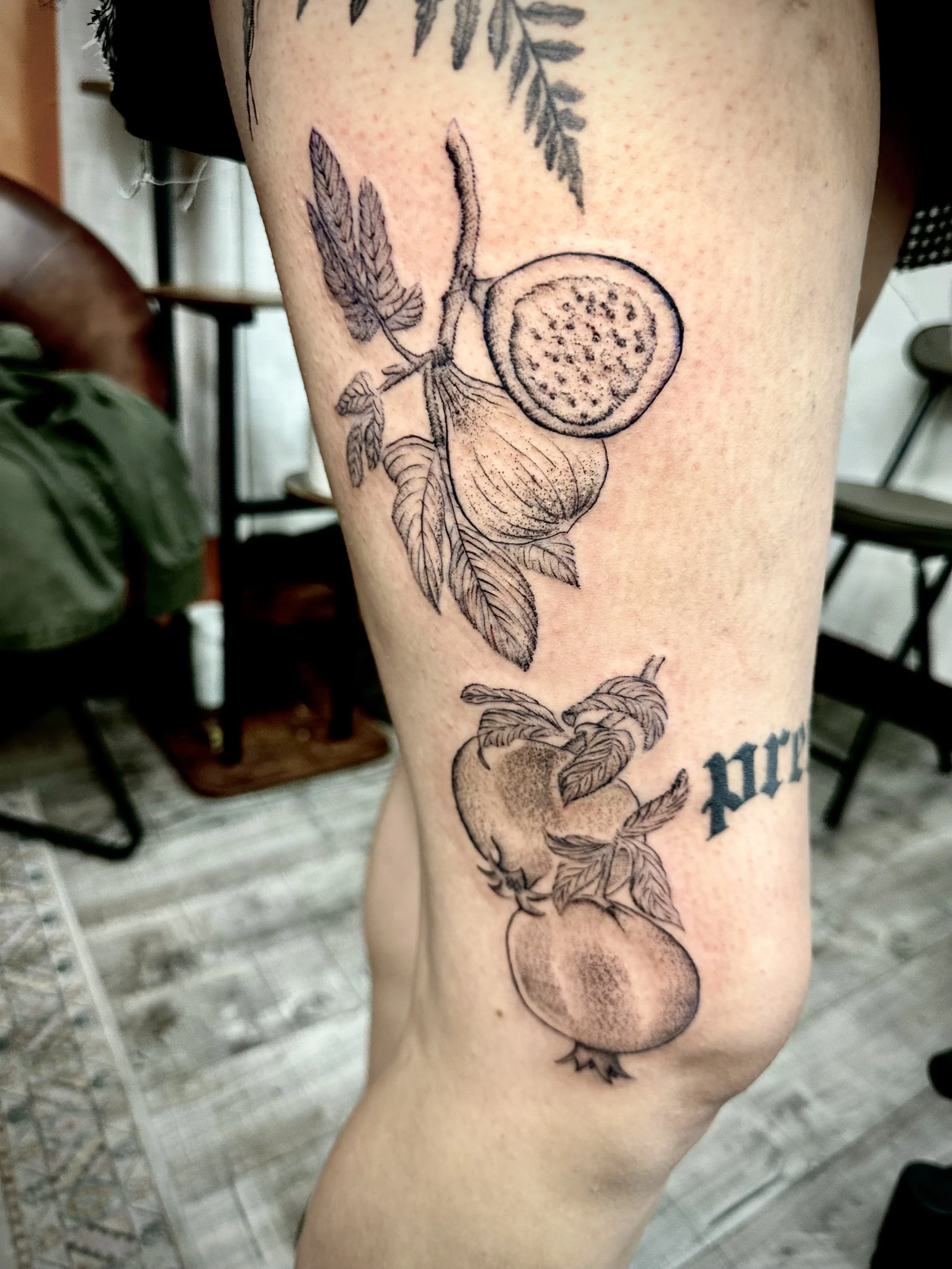 Black line tattoo of a branch with leaves, a nut, and an open fruit on a person's thigh.