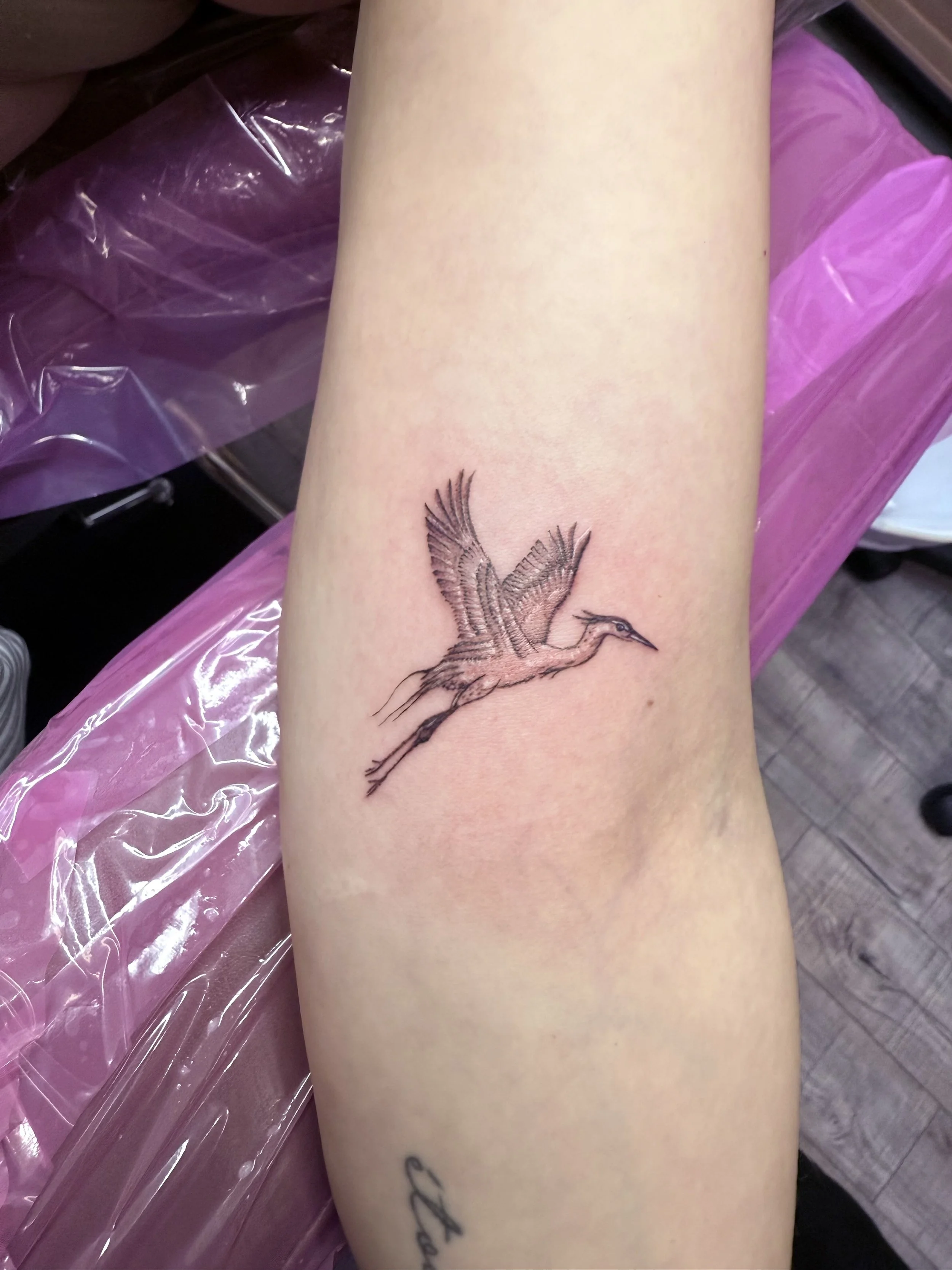 A tattoo of a flying heron bird on a person's inner forearm.