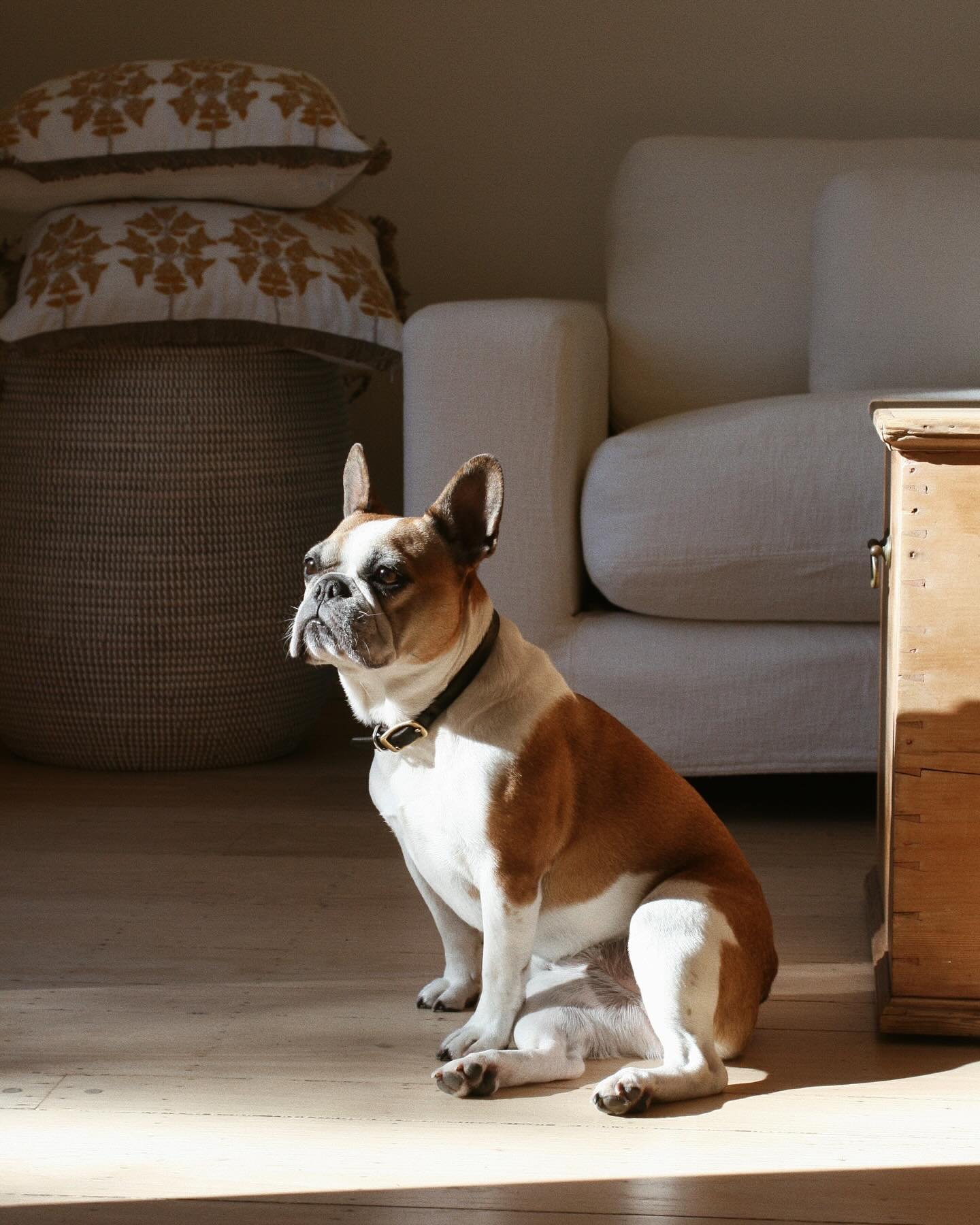 an early afternoon sunbathe