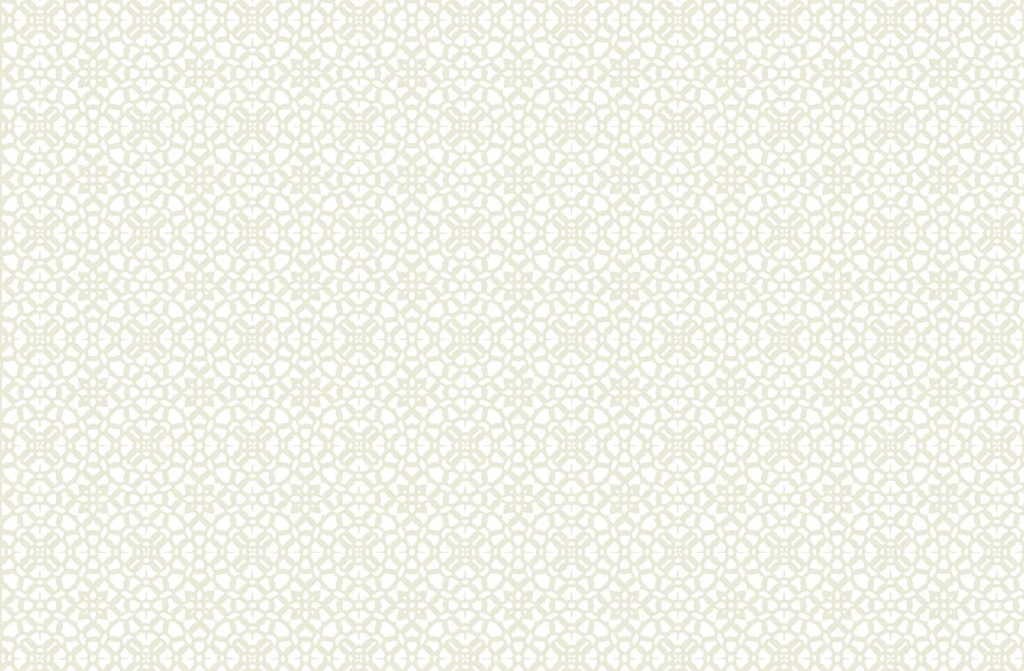 Cotton Lace White.jpg