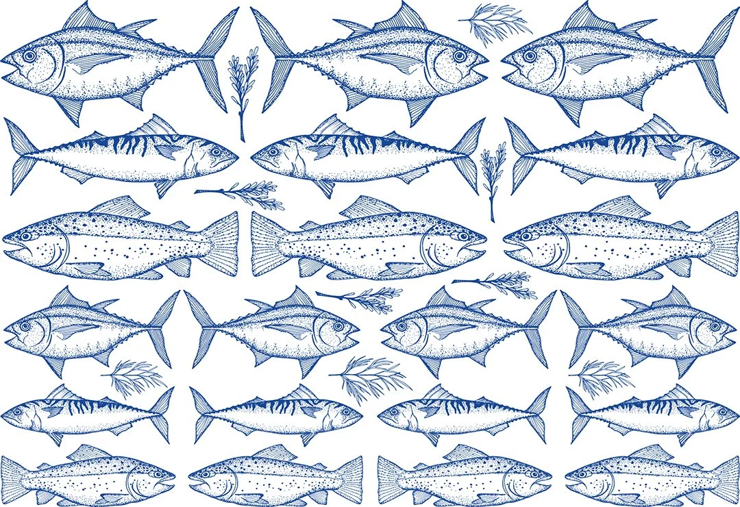 Underglaze Transfer - Tropical Fish — Plum Island Transfers