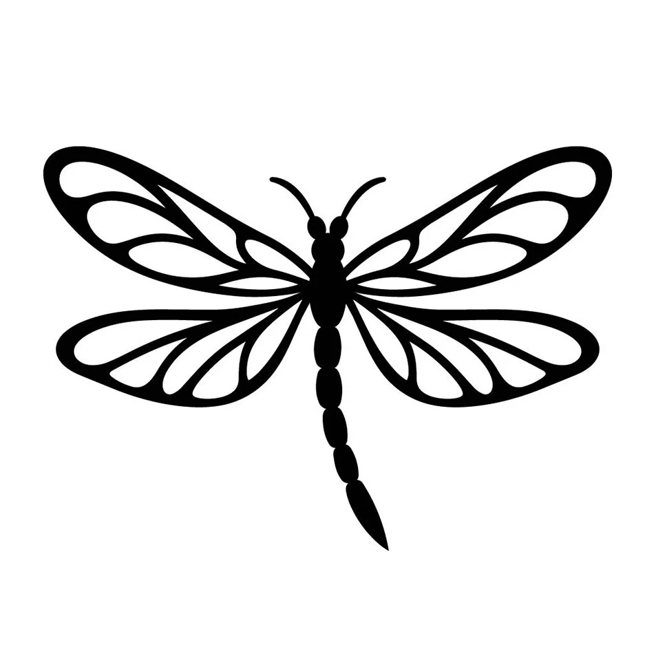 dragonfly website image.jpg