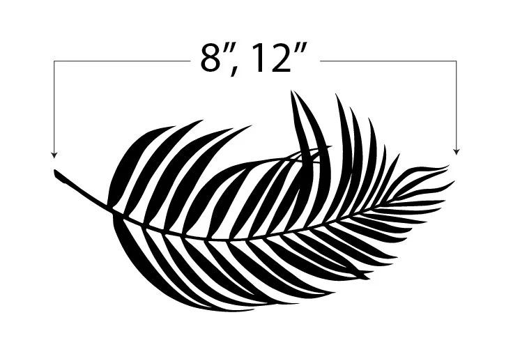 palm frond sizes.jpg