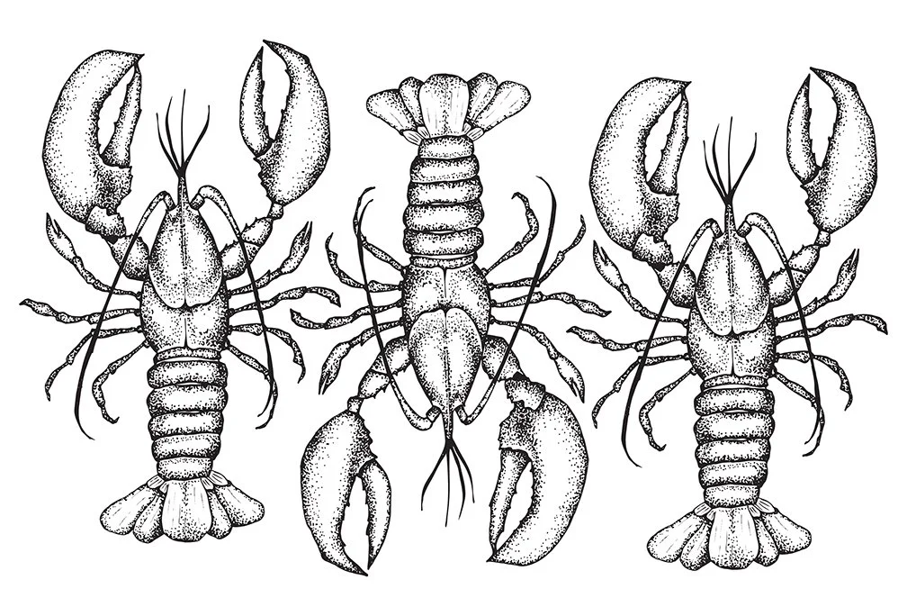 Underglaze Transfer - Lobsters