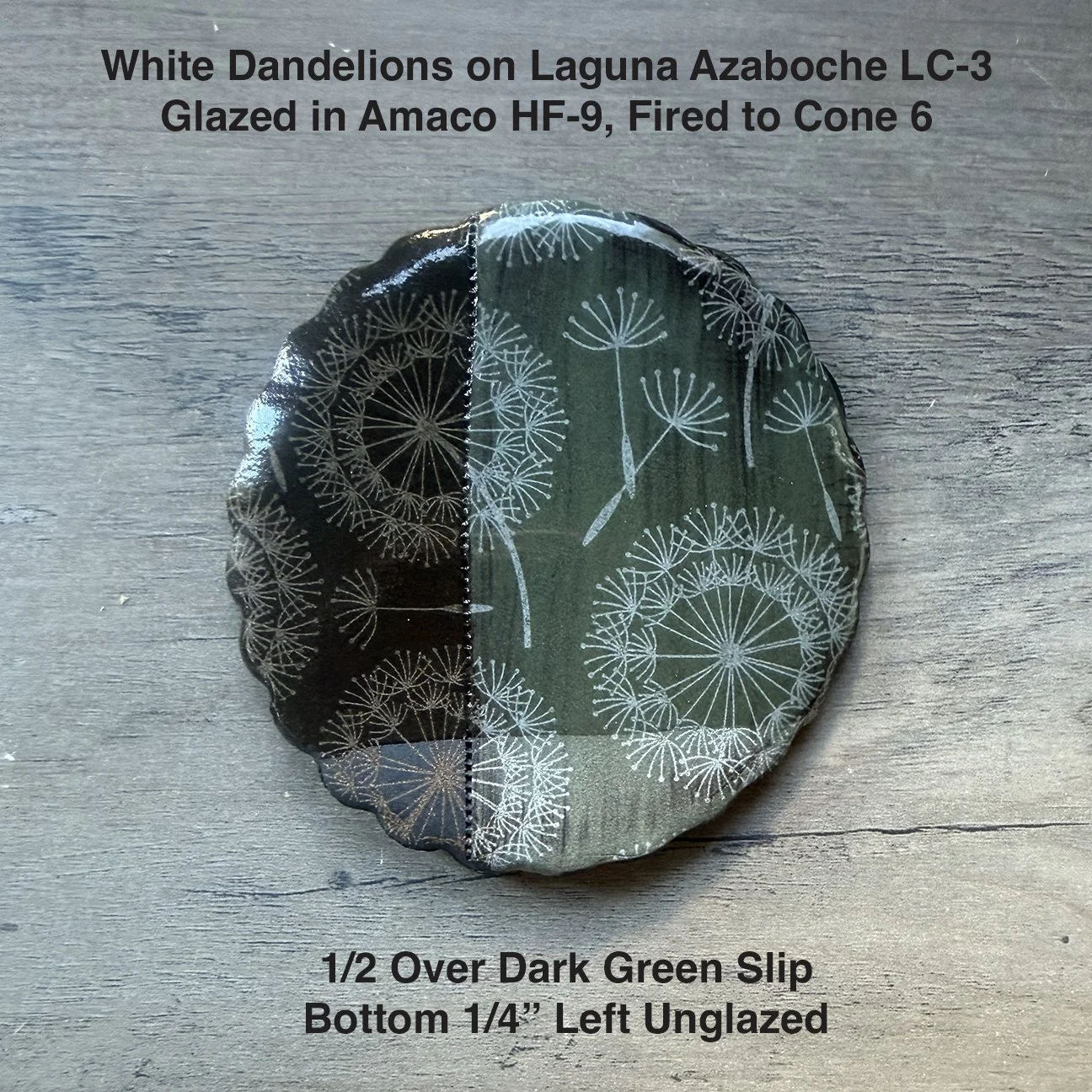 White Dandelions copy.jpg