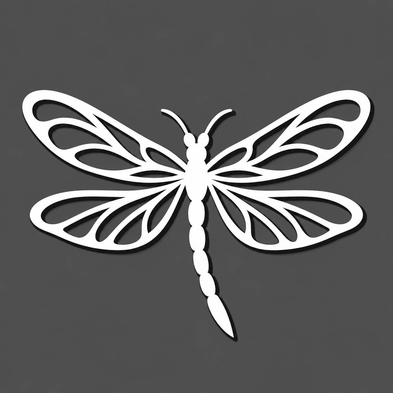 dragonfly.jpg