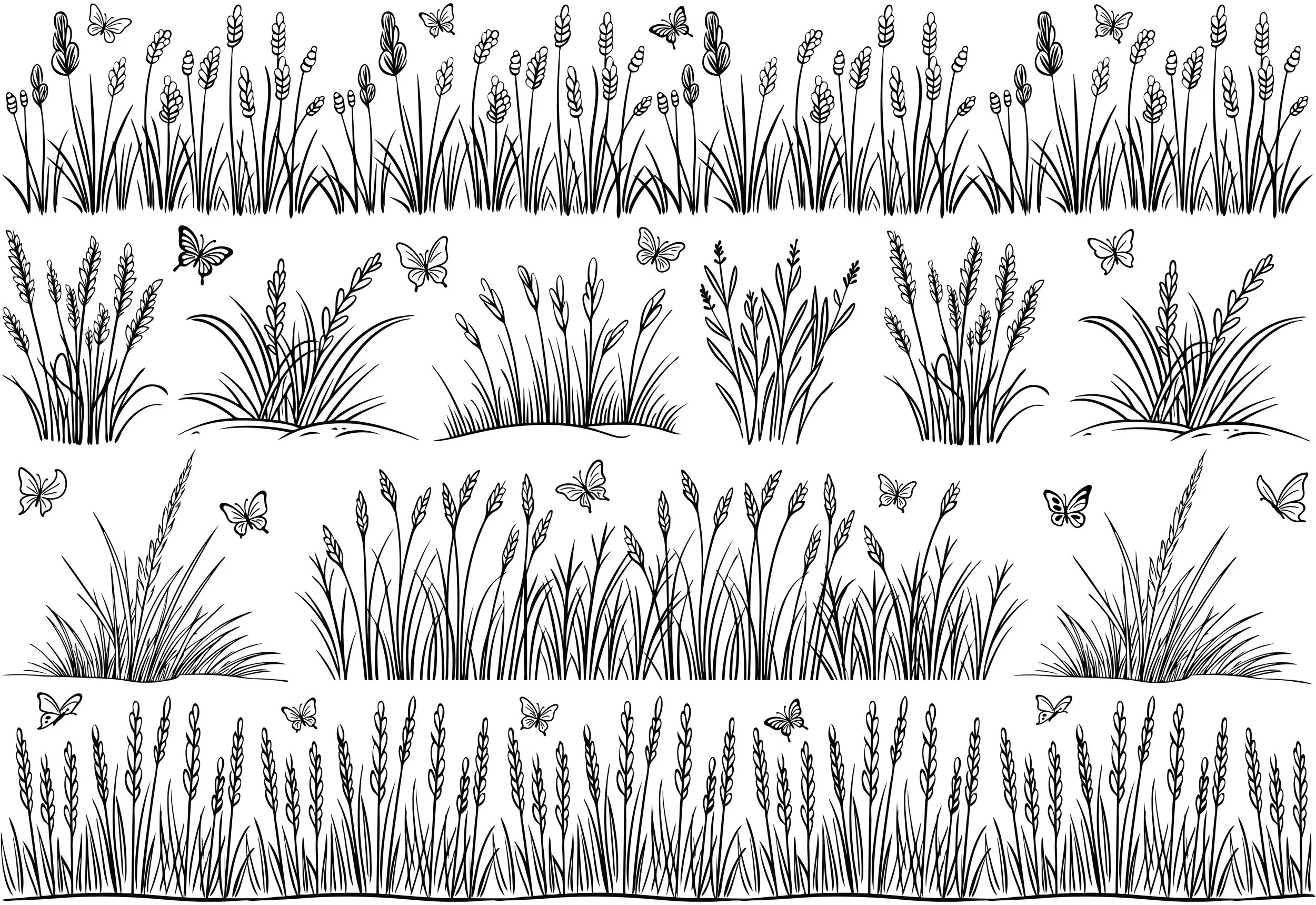 delicate collection of grasses, wheat-like seed heads, and small butterflies in clean black linework