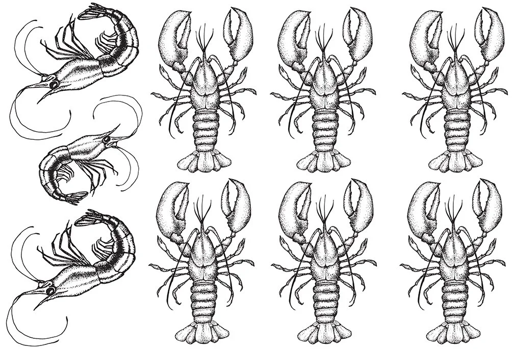 Underglaze Transfer - Lobsters and Shrimp