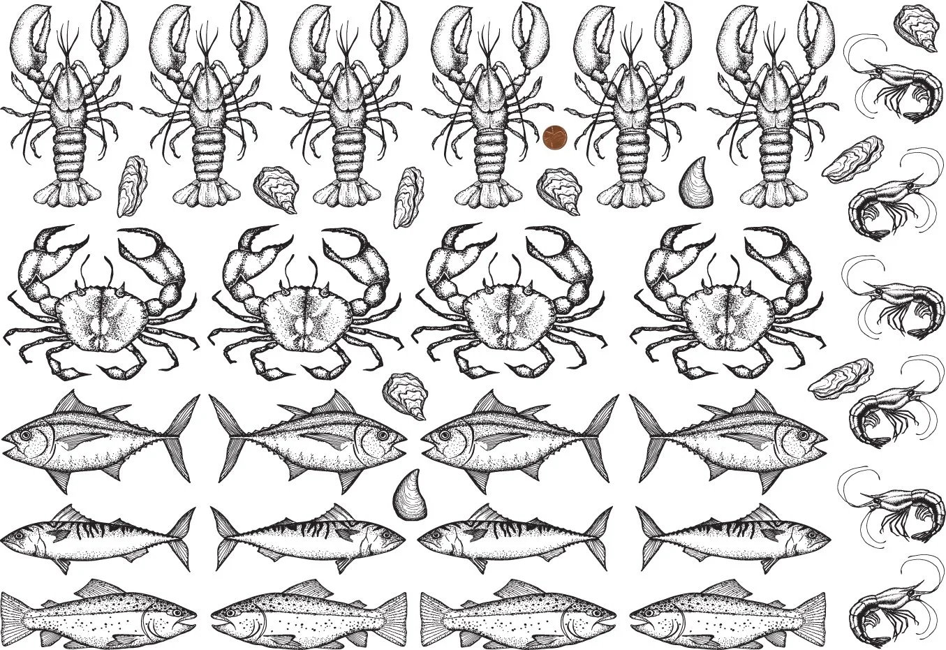 Underglaze Transfer - Crustaceans and Fish