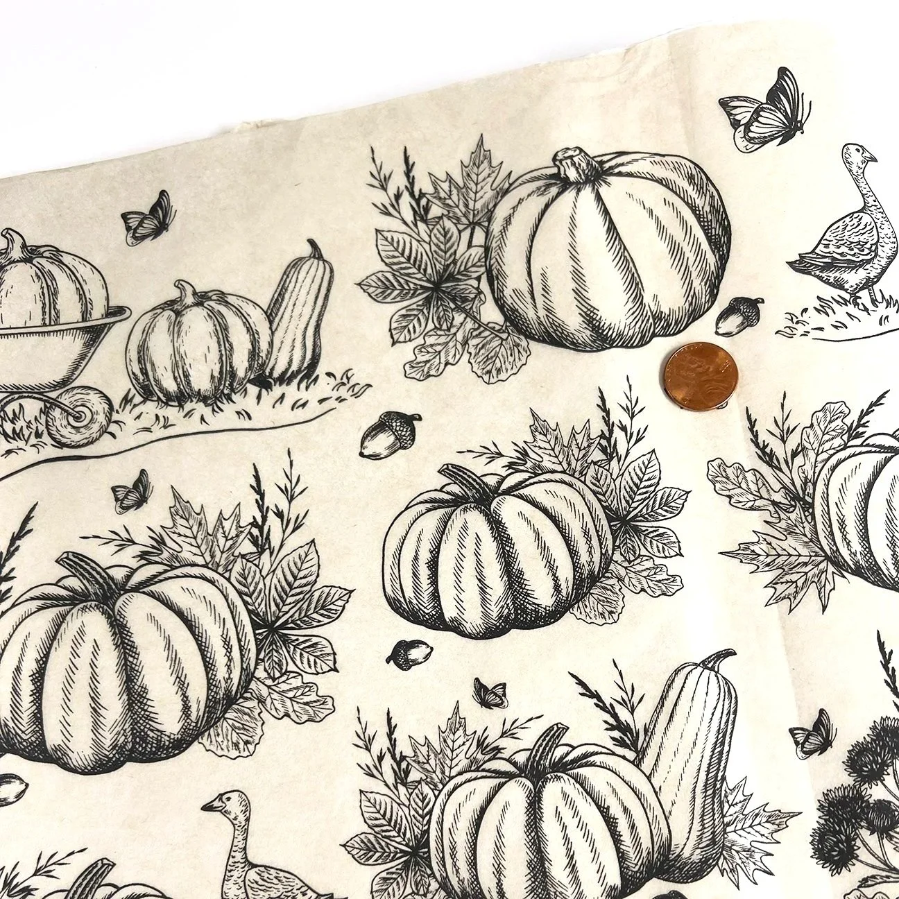 Pumpkins.jpg