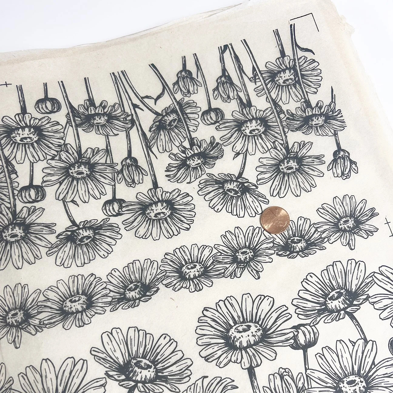 Field of Daisies New.jpg