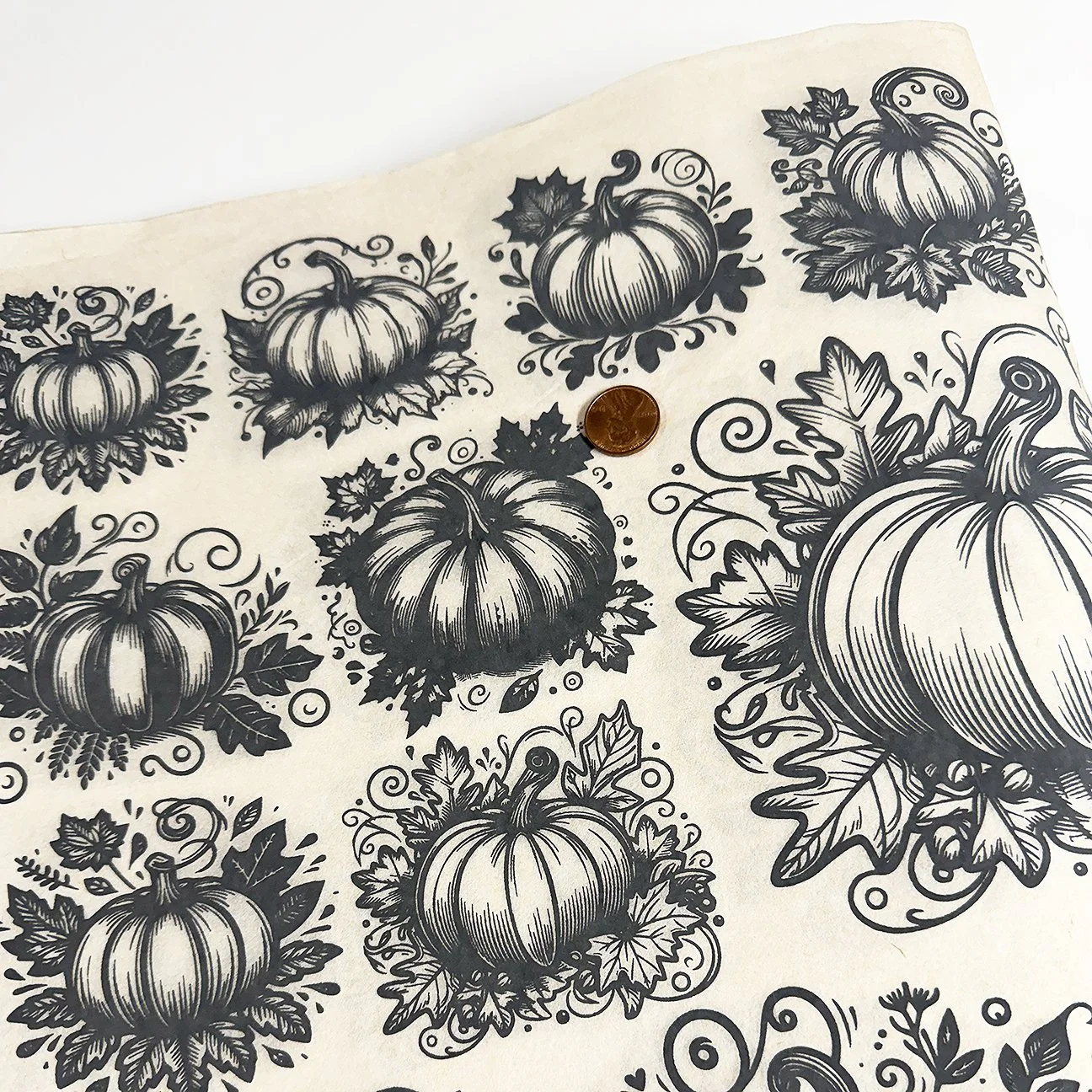 Stylized Pumpkins.jpg