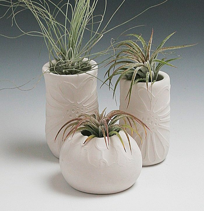 air+plants+with+mini+vases.jpg