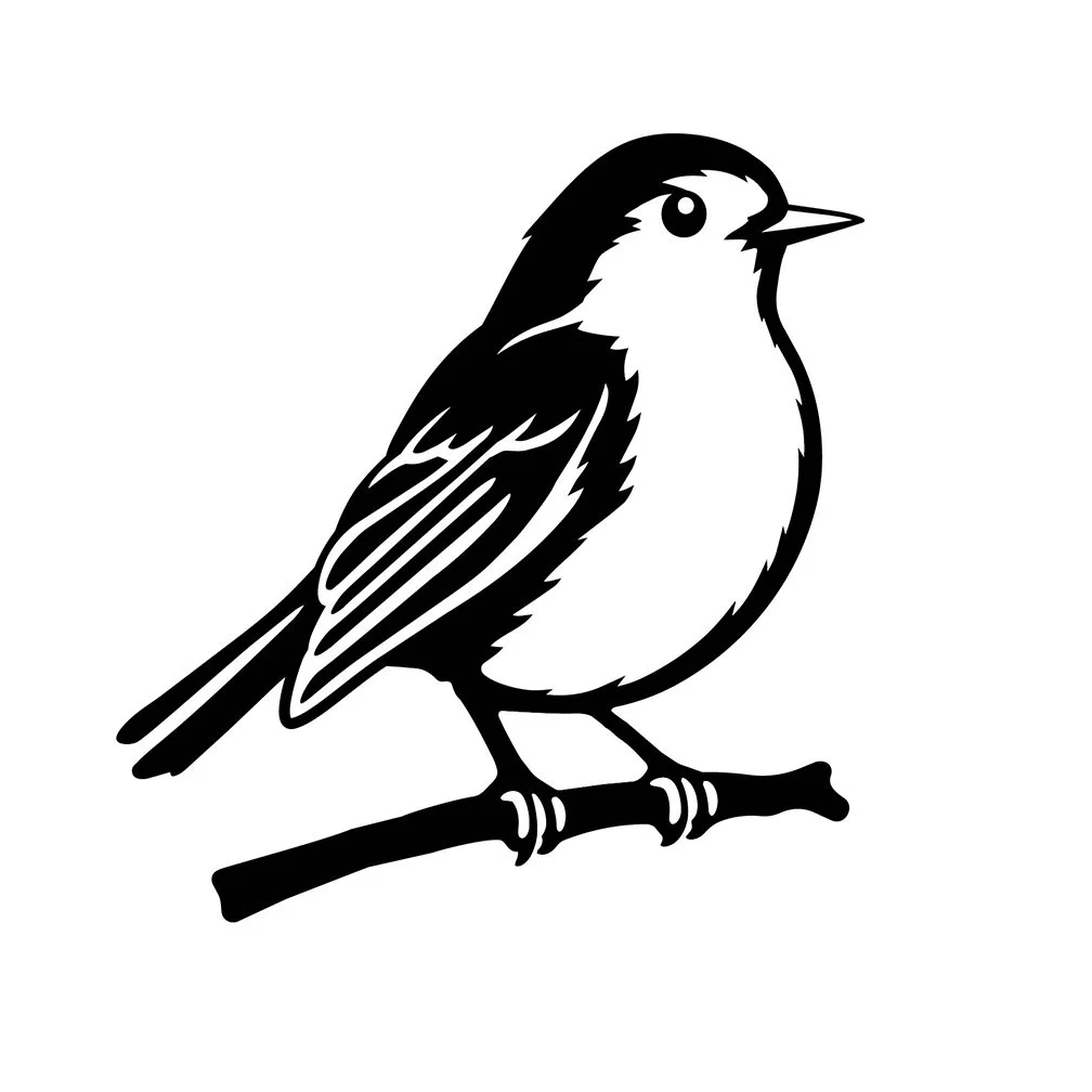 Robin 4".jpg