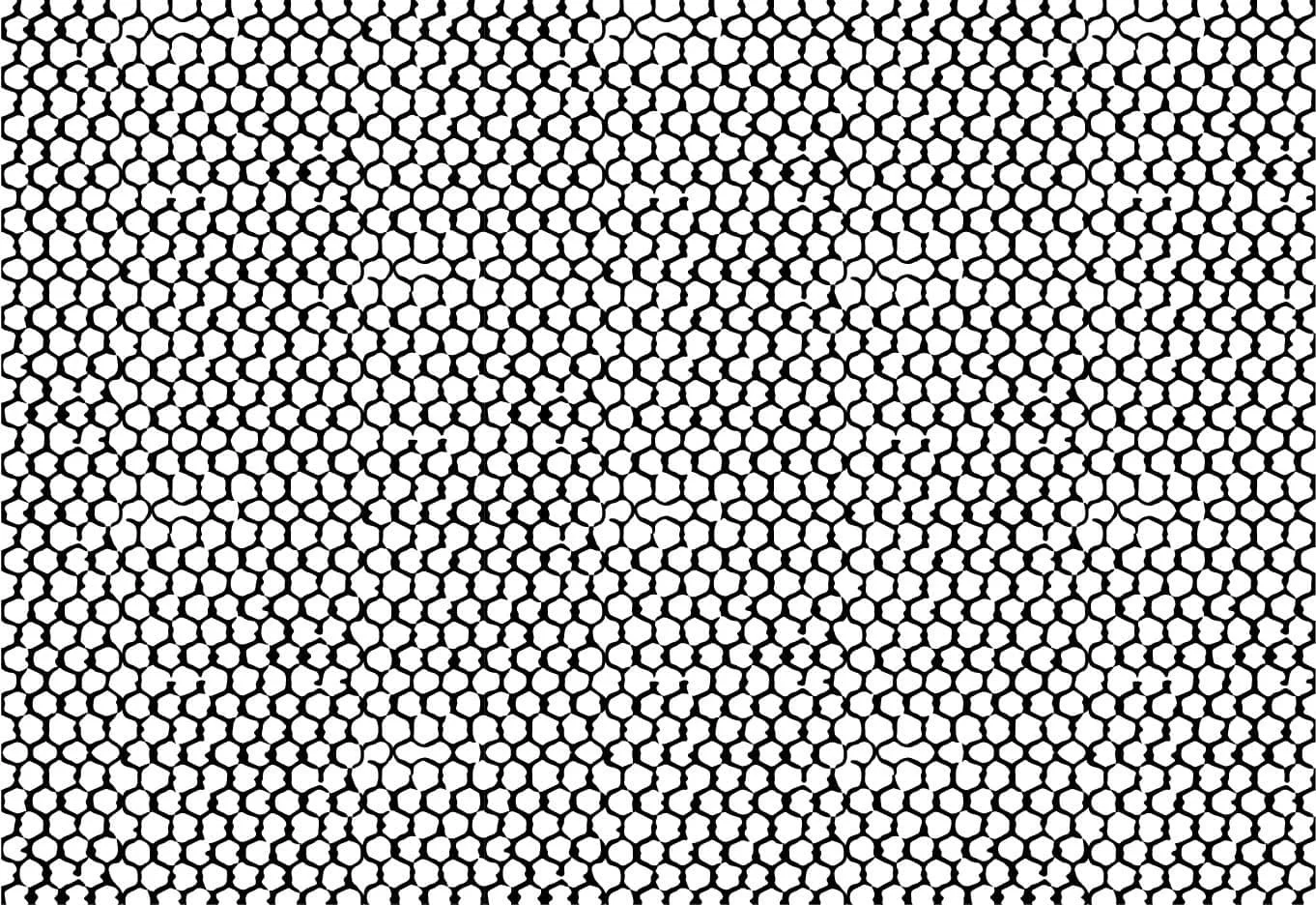 Netting_compressed.jpg